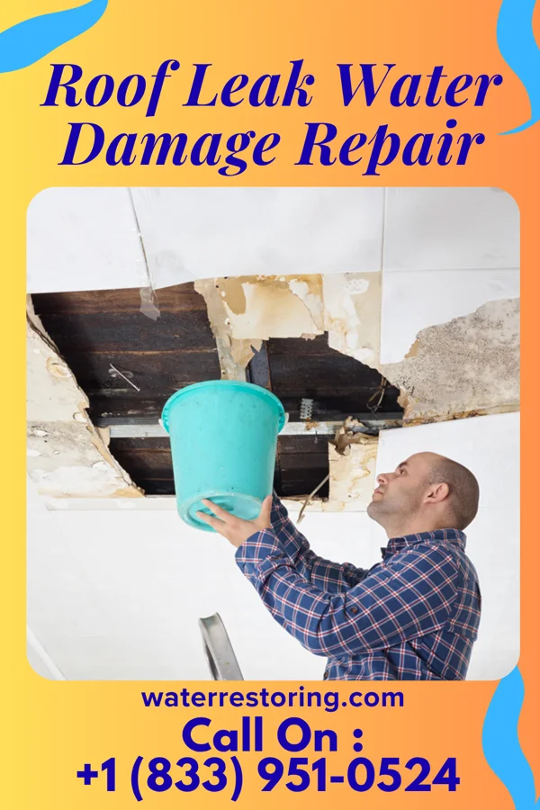 Roof Leak Water Damage Repair in Mosheim, TX